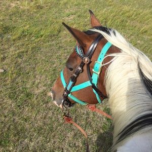 Meet your Posher, Raelee